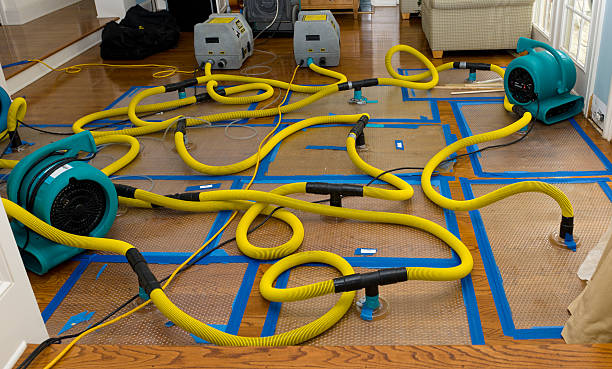 Professional Flood Damage Restoration technician working in Rockland, MA